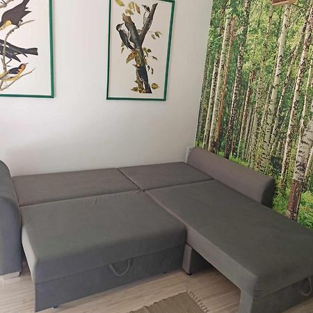 Studio Lesne Lubniewice Bagian luar foto