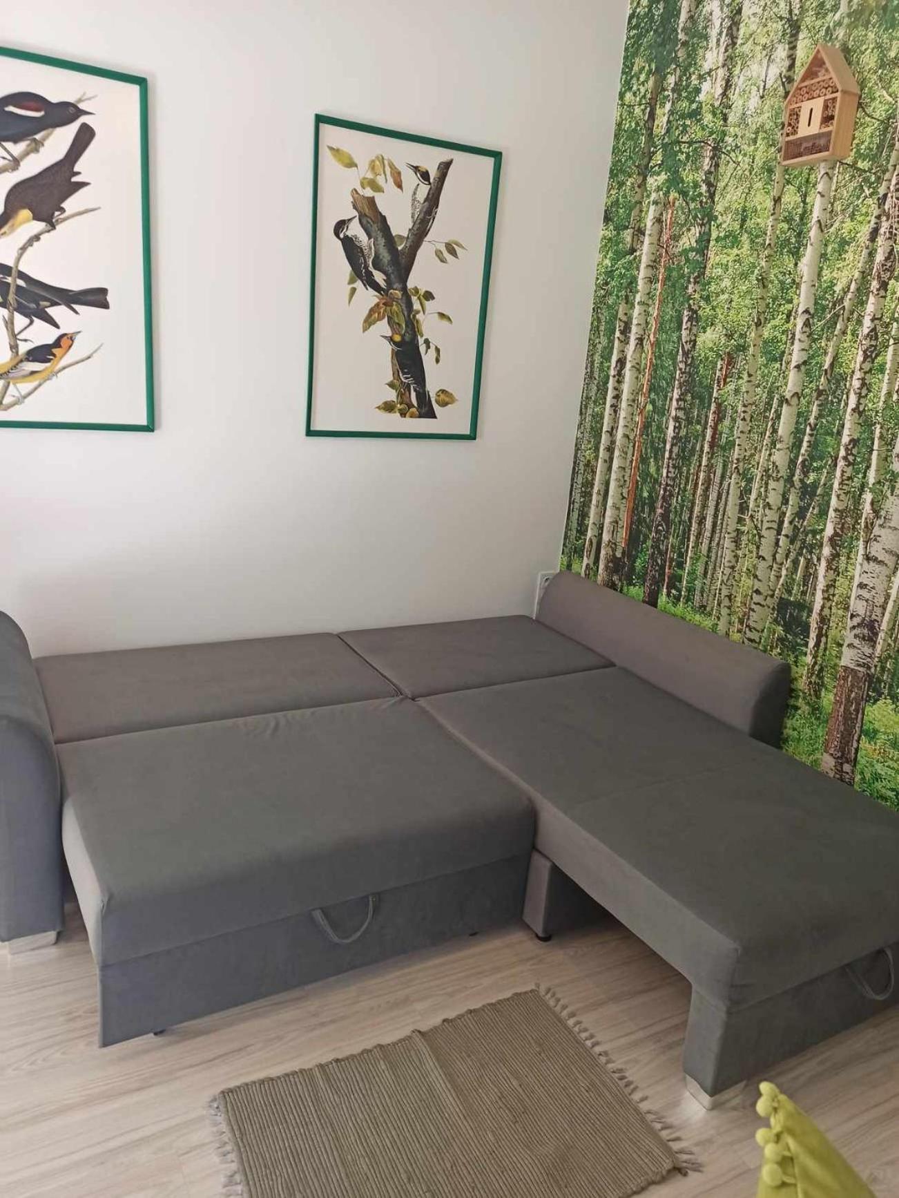 Studio Lesne Lubniewice Bagian luar foto